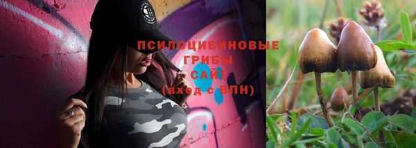 твердый Белоозёрский