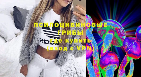молекула духа Белокуриха