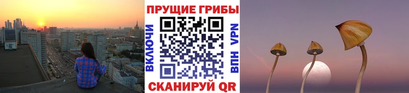 купить наркотики сайты Пыть-Ях Галлюциногенные грибы GOLDEN TEACHER